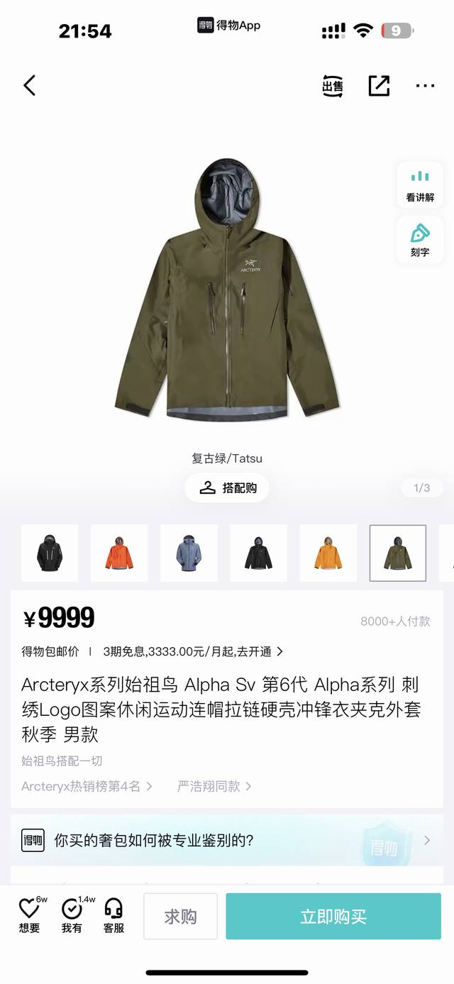 顶级版本 Arc Teryx Alpha Sv 复古绿色jacket-Mens始祖鸟 Sv第六代gtx户外防水硬壳向导级冲锋衣机能风拉链夹克 - 始祖鸟，加拿大